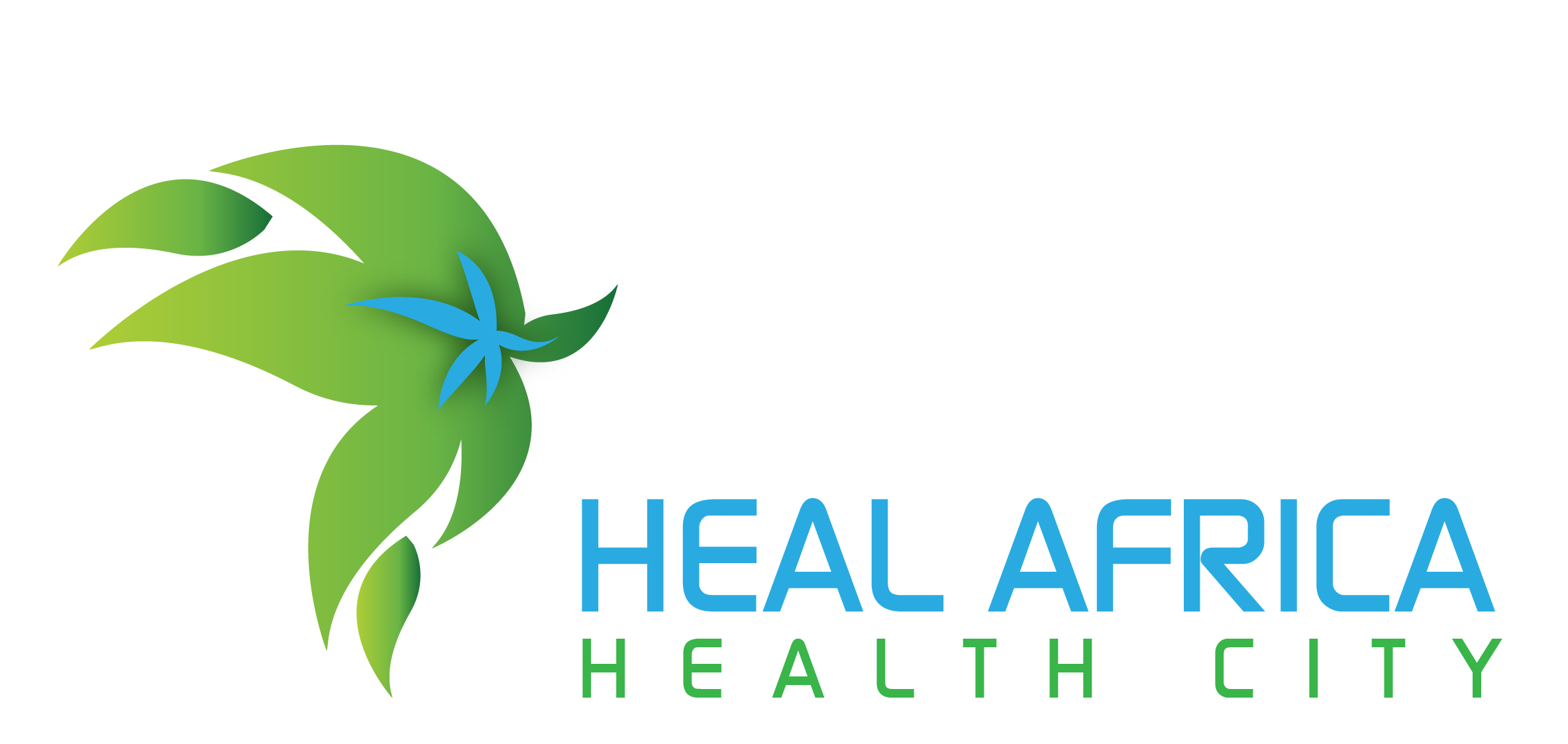 Heal Africa Health City