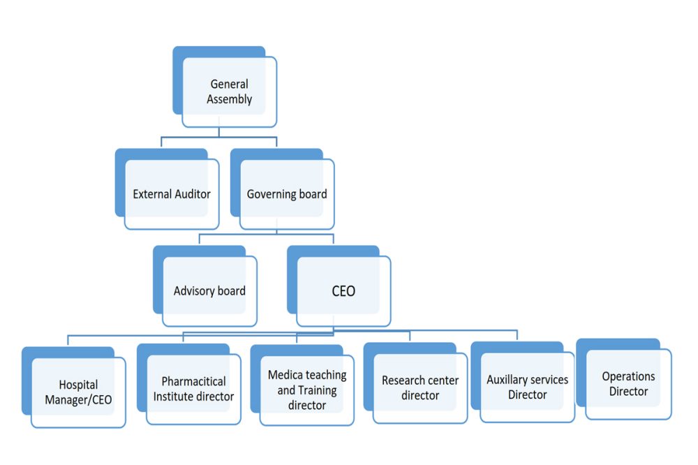 organizational-structure of heal africa